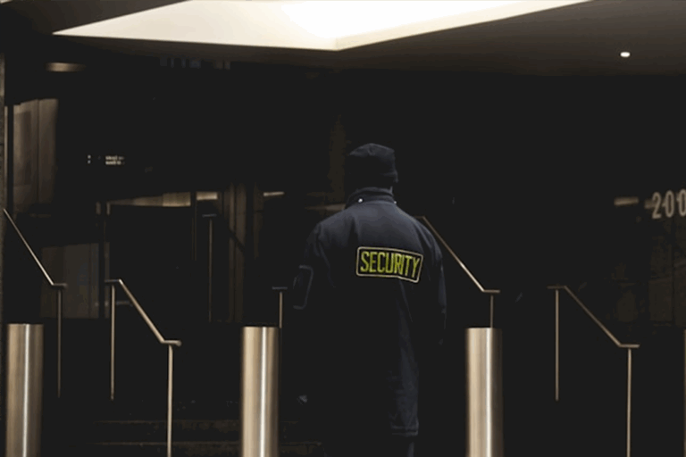 Surveillance et sécurité de sites à Mayotte